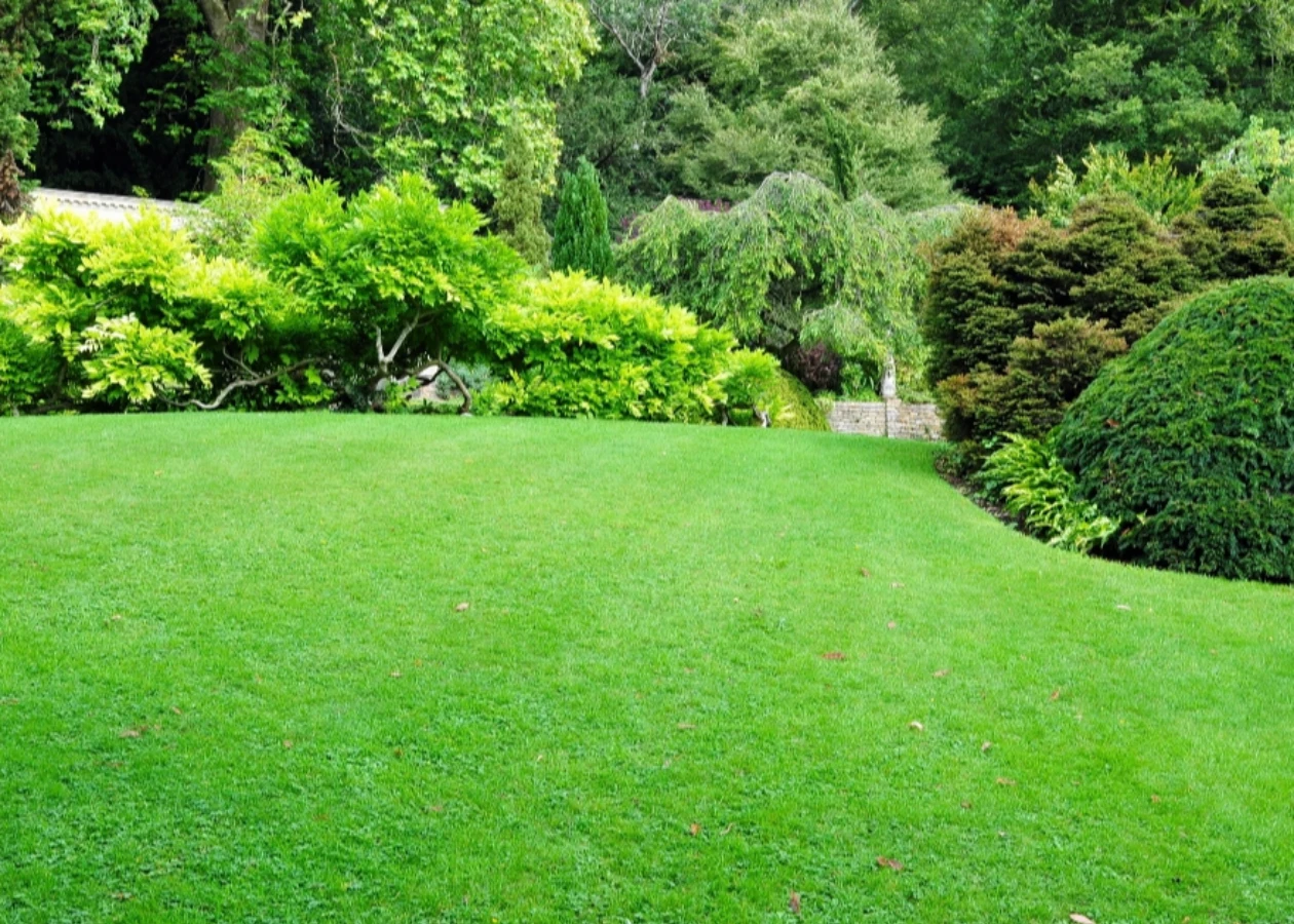 Image for Clemaron Garden Services GROUND SUPPORT SERVICES item - Garden maintenance,  Pruning,  Planting, Gardener in Dorking,  Hedge Cutting,  Garden design,  Clemaron Garden Services Gardener,  Tree pruning,  Lawn care,  Lawn Maintenance,  Weed Control,  Lawn Mowing